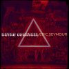 Download track Digital Witness