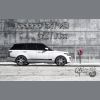 Download track Ding Ding (Microvibez Remix)