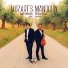 Download track Sonata No. 22 In A Major, KV 305: II. Thema. Andante Grazioso - Variations I-V - Variation VI. Allegro