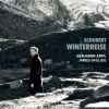 Download track VII. Auf Dem Flusse