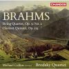 Download track String Quartet No. 2 In A Minor, Op. 51, No. 2 II. Andante Moderato
