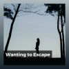 Download track Music For Serotonin Release