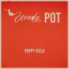 Download track Play With Me