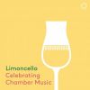 Download track Schubert Violin Sonata In D Major, Op. 137 No. 1, D. 384 II. Andante