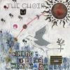 Download track Between Bare Trees