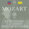 Download track Mozart- Divertimento In D Major, K. 334 - 2. Thema Mit Variationen (Andante)
