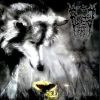 Download track Outro