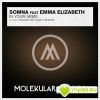 Download track In Your Arms (Two & One Dub)