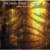 Download track Translation 6: Requiem