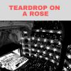 Download track A Teardrop On A Rose