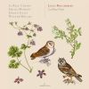 Download track String Trio In G Major, Op. 34 No. 2, G. 102: IV. Rondo. Allegro Man Non Presto