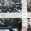 Download track Parallax (Extended Mix)
