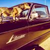 Download track Ray Wylie Hubbard
