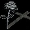 Download track Sense Of Dark - Red Riding Hood