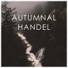 Download track Dixit Dominus, HWV 232 6. Dominus A Dextris Tuis