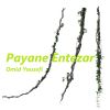 Download track Hesse Zendegi