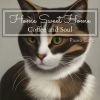 Download track The Warmth Of The Evening