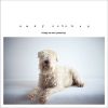 Download track Lay Me Down Easy