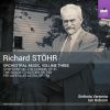 Download track Symphony No. 2 In D Minor, Op. 81: III. Vivace