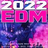 Download track Sandstorm (Extended Future Rave Mix)