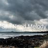 Download track The Heal