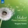 Download track Variations On A Waltz By Diabelli In C Minor: Variation 38, D. 718