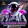 Download track A Cycle Of Awakening Light