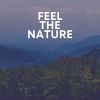 Download track Gentle Rain Nature's Relaxing Sounds