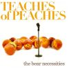 Download track Sucker