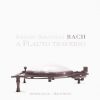 Download track 08 Sonata In E Minor BWV 1034 - IV. Allegro