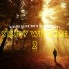 Download track Walking In The Misty Autumn Forest, Pt. 9