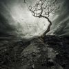Download track Skip The Scripiling