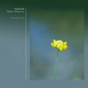 Download track Teach The Snails How To Sleep (Original Mix)