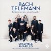 Download track 02. Concerto For Violin, Oboe, Strings And Continuo In C Minor, BWV 1060a II. Adagio