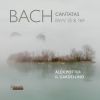 Download track Cantata 