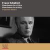 Download track 07. Piano Sonata No. 16 In A Minor, Op. 42, D. 845 III. Scherzo. Allegro Vivace - Trio. Un Poco Più Lento