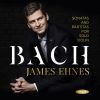 Download track Partita No. 1 For Violin Solo In B Minor, BWV 1002: IV. Double (Presto)