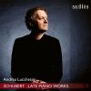 Download track 01. Piano Sonata No. 21 In B-Flat Major, D. 960 I. Molto Moderato