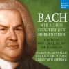 Download track Ich Hab In Gottes Herz Und Sinn, BWV 92- IX. Soll Ich Denn Auch Des Todes Weg (Choral)