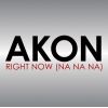 Download track Right Now (Na Na Na) (Instrumental)