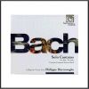 Download track 01 - BWV 82 - Aria - Ich Habe Genug