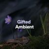 Download track Gifted Ambient, Pt. 27