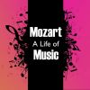 Download track Divertimento No. 15 In B Flat Major, K. 287: Variation V