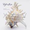 Download track Sun Scope