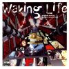 Download track Nocturne In E - Flat Opus 9 # 2