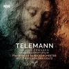 Download track 1.03. Seliges Erwägen-Passions-Oratorium, TWV 52, First Meditation 3. Aria Gute Nacht, Ihr Meine Lieben! (Jesus)