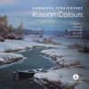 Download track String Quartet No. 2 In D Major (Arr. Y. Zhislin For String Orchestra): III. Notturno. Andante