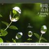 Download track The Left-Digit Fall