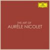 Download track Concerto In E Minor For Flute And String-Orchestra: 1. Allegro Moderato