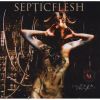 Download track Shapeshifter